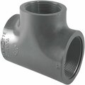 Charlotte Pipe And Foundry 3/4 In. FIP Schedule 80 PVC Tee PVC 08402  1200HA